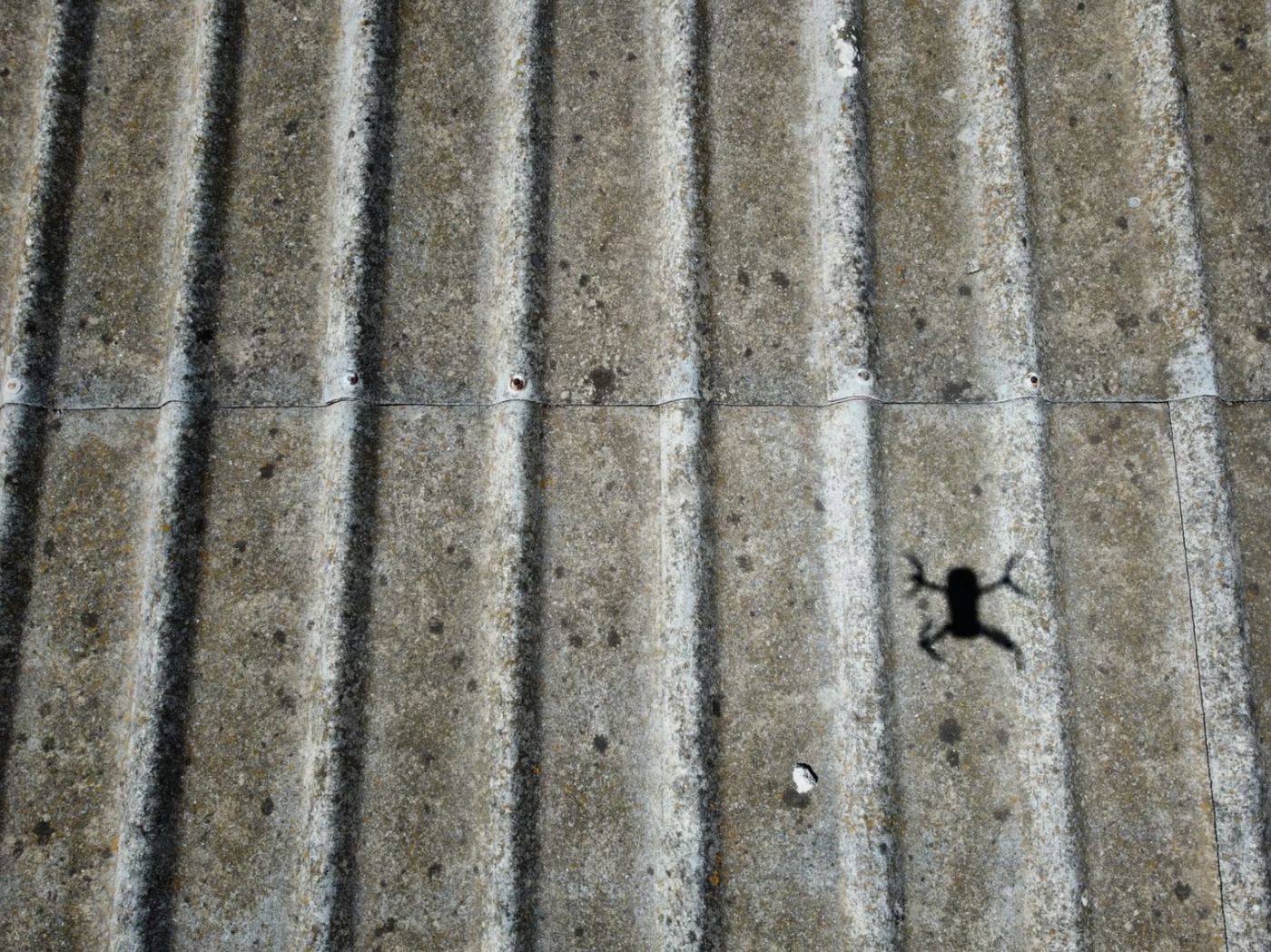 Close-up of weathered asbestos cement sheeting with surface erosion and lichen